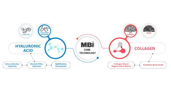 Maxigen Biotech-Inc